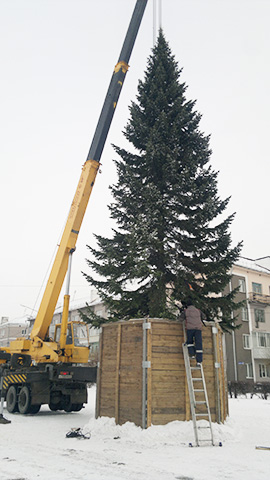 21 ноября 2017 г. в Белове установили елку