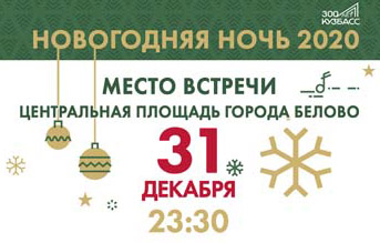 Новогодняя ночь -2020 в Белово